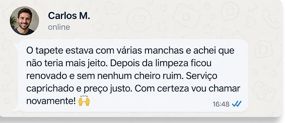 Carlos M.: O tapete estava com várias manchas e achei que não teria mais jeito. Depois da limpeza ficou renovado e sem nenhum cheiro ruim. Serviço caprichado e preço justo. Com certeza vou chamar novamente!